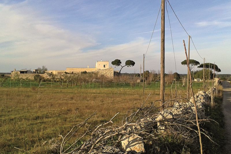 File:LECCE Macina Nachiro Masseria Morello.jpg