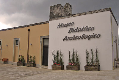 CAVALLINO Museo didattico.jpg
