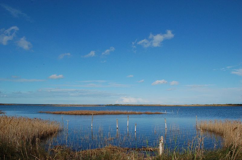 File:VERNOLE Le Cesine.jpg