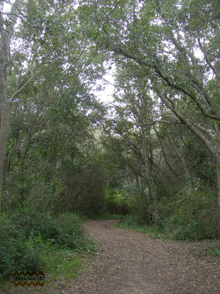 File:Rauccio paesaggio (5).jpg