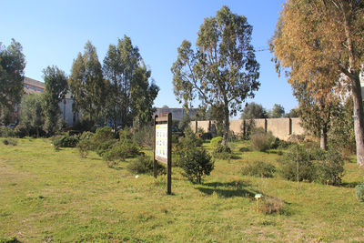 LECCE Orto Botanico.jpg