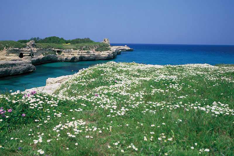 File:MELENDUGNO Ambiente costiero.jpg